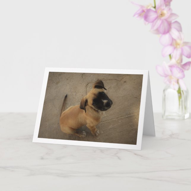 Carte Chiot amoureux (Orchidée)