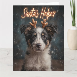 Carte Chiot Border Collie adorable en assistant du Père