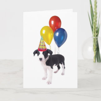 Carte chiot d'anniversaire