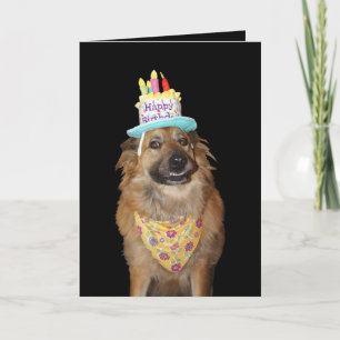 Carte Chiot de berger mignon pour anniversaire de chien