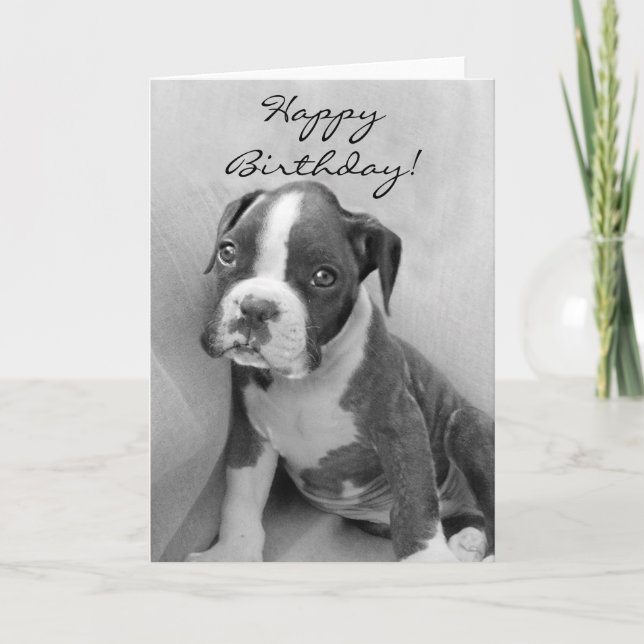 Carte Chiot de boxeur de joyeux anniversaire (Devant)