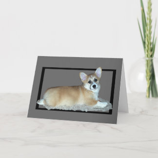 Carte Chiot de corgi de Gallois de Pembroke