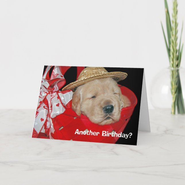 Carte chiot de golden retriever d'anniversaire (Devant)