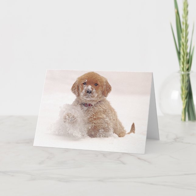 Carte Chiot de golden retriever dans la neige (Devant)