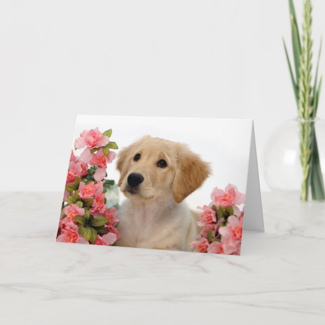 Carte Chiot de golden retriever et fleurs roses (Devant)