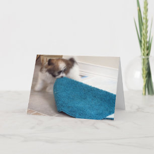 Carte Chiot de Havanese déplaçant sa couverture