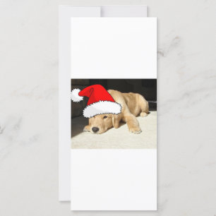 Carte Chiot de Noël Golden Retriever