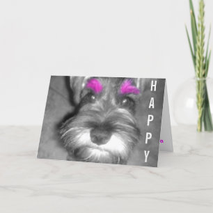 Carte Chiot de Schnauzer miniature de type de joyeux