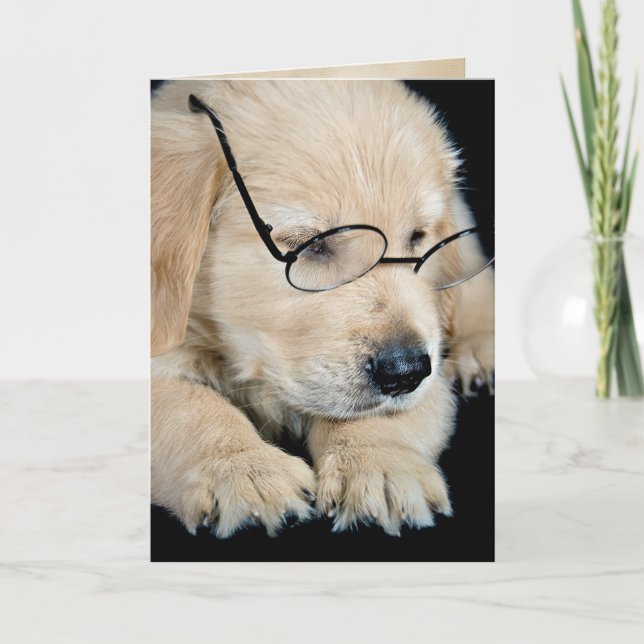 Carte Chiot Golden Retriever avec lunettes (Devant)