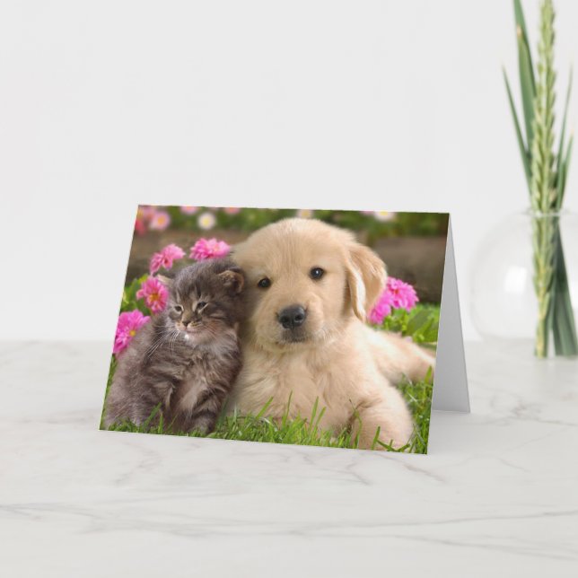 Carte Chiot Golden Retriever et Amour de Chatons (Devant)