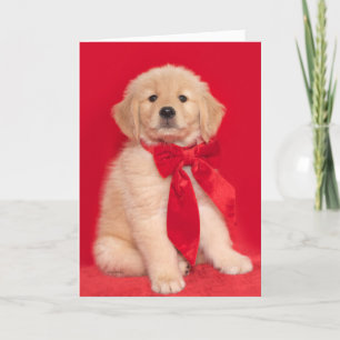 Carte Chiot Golden Retriever Joyeux Noël Ouaf Ouaf