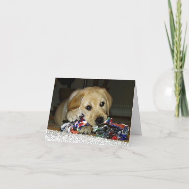 Carte chiot lab jaune LR avec jouet (Devant)
