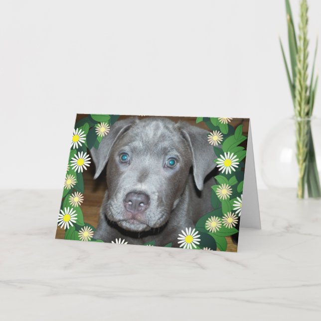 Carte Chiot labrabull avec fleurs / Photo Chien de compa (Devant)