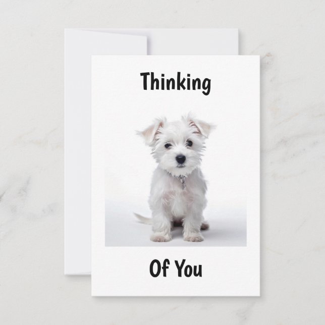 Carte chiot west highland white terrier assis pensif (Devant)