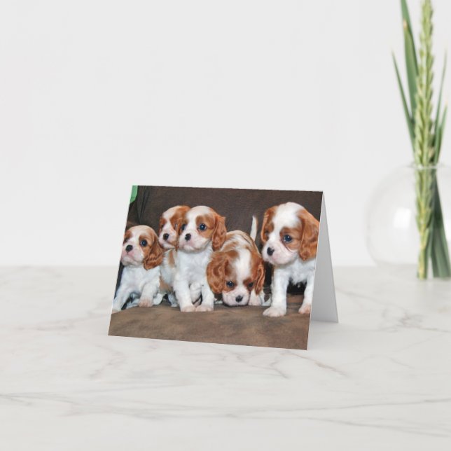 Carte chiots cavaliers (Devant)