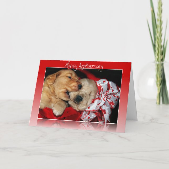 Carte chiots Golden Retriever pour anniversaire de maria (Devant)