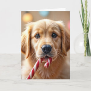 Carte Chiots Retriever doré de Noël et un bonbon en form