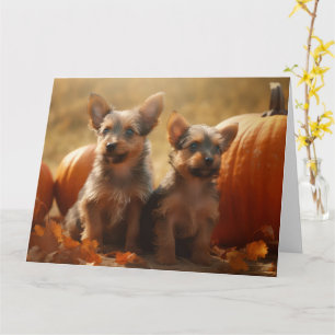 Carte Chiots Terrier Australien Délice d'Automne Citroui