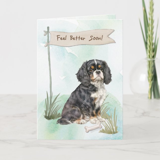 Carte Chirurgie pour se sentir mieux Cavalier King Charl (Devant)