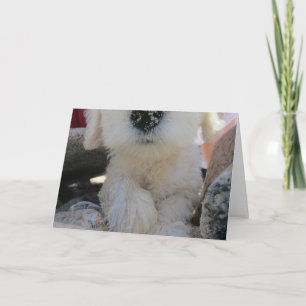 Carte Chocolat Je Sens Amusant Personnalisé Cute Goldend