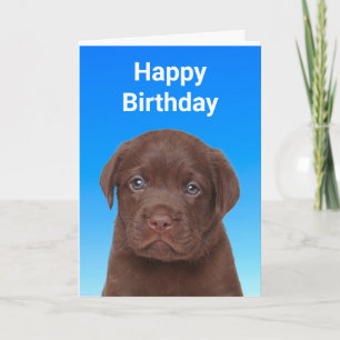 Carte Chocolat Labrador Anniversaire
