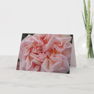 Carte Chou Rose Fleur Rose Pâle Blush