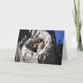 Carte Chouette à cris de l'Ouest au coeur de l'arbre