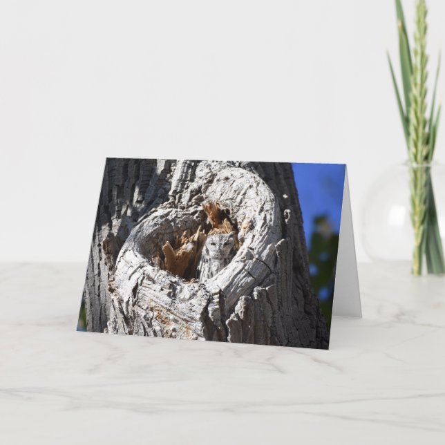 Carte Chouette à cris de l'Ouest au coeur de l'arbre (Devant)