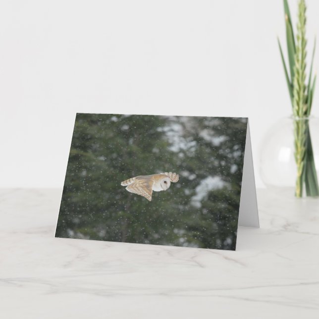 Carte Chouette de la grange volant dans la neige (Devant)