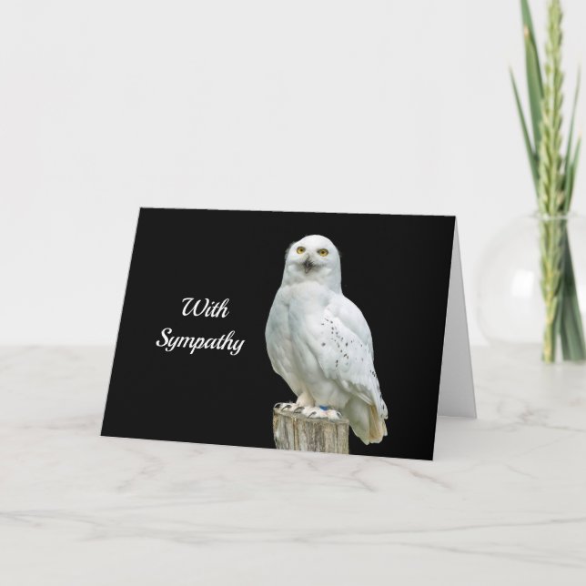 Carte Chouette Photo de Journal Sympathie Blanche (Devant)