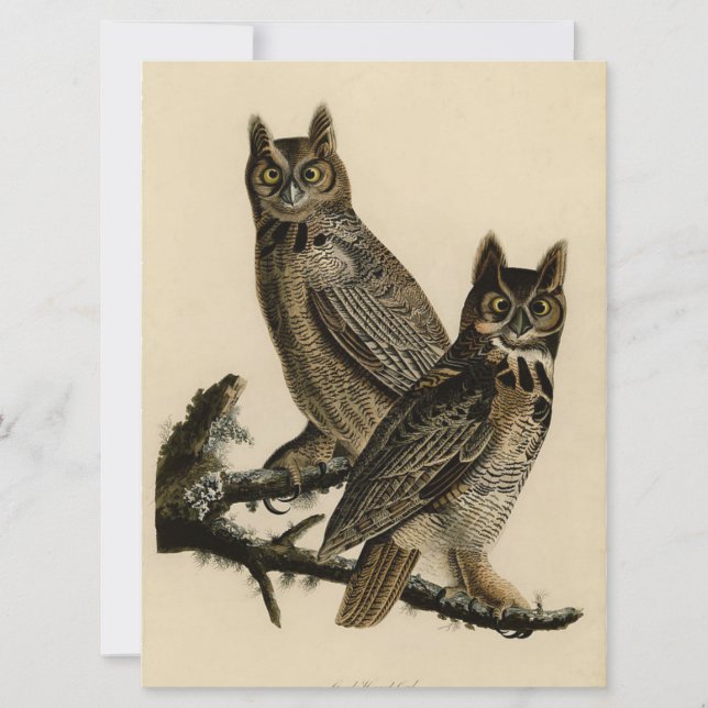 Carte Chouettes à cornes (par John James Audubon) (Devant)