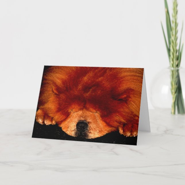 Carte Chow Chow Chow gcnm (Devant)