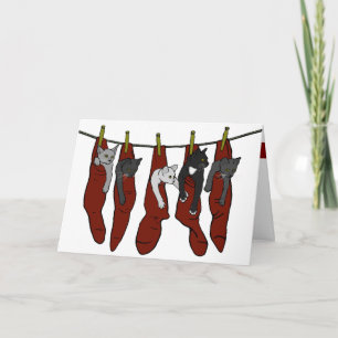 Carte Christmas Kittens   Chatons de Nöel Card (corny)