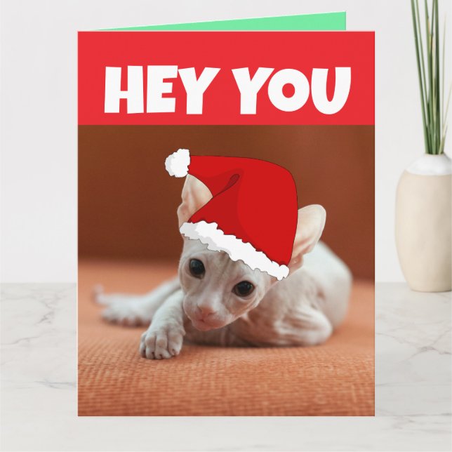 CARTE CHRISTMAS SPHYNX HAIRLESS CAT KITTEN (Devant)