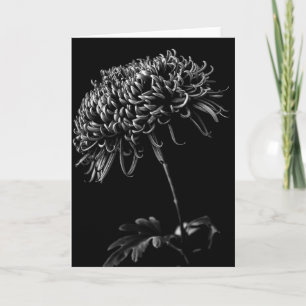 Carte Chrysanthème