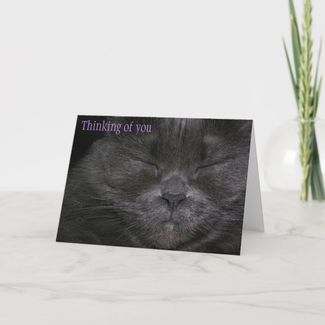 Carte Chubby Kitty Pensez à vous (Devant)