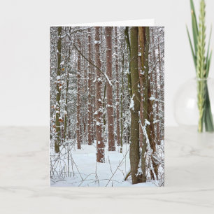 Carte Chute de neige fraîche du Nouvel An sur les arbres