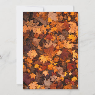 Carte chute-feuillage-111315 CHUTE AUTOMNE FEUILLES COUL