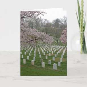 Carte Cimetière national d'Arlington