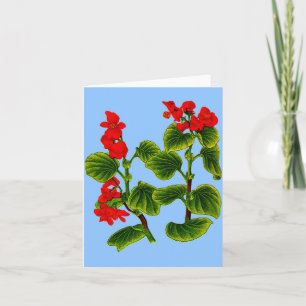 Carte cire begonia cire begonias