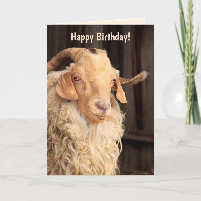 Carte Citation amusante "Vielle chèvre" Anniversaire (Devant)