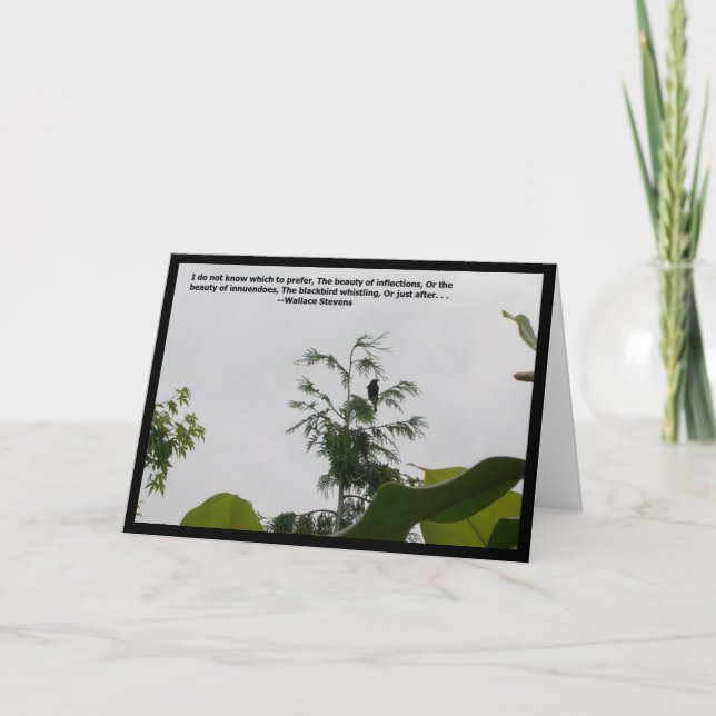 Carte Citation Blackbird (Devant)