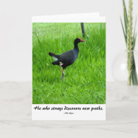 Citation de voyage par Nils Kjær