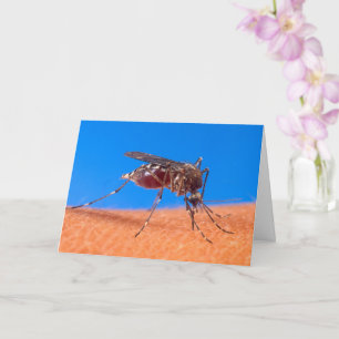Carte Citation photo de moustique Biting Anniversaire