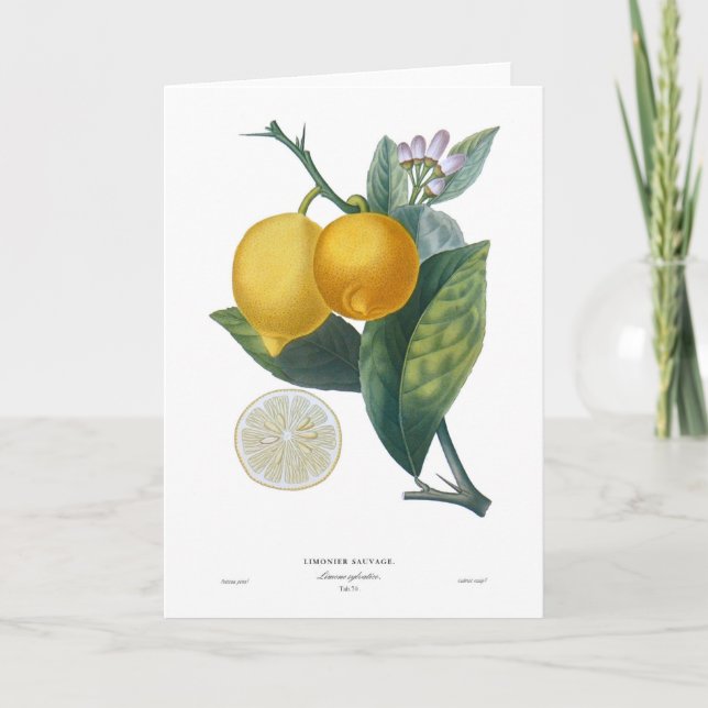 Carte Citron (Devant)