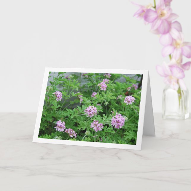Carte Citronella Plante avec Floral (Orchidée)