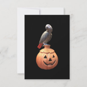 Carte Citrouille d'Halloween Perroquet Gris Africain