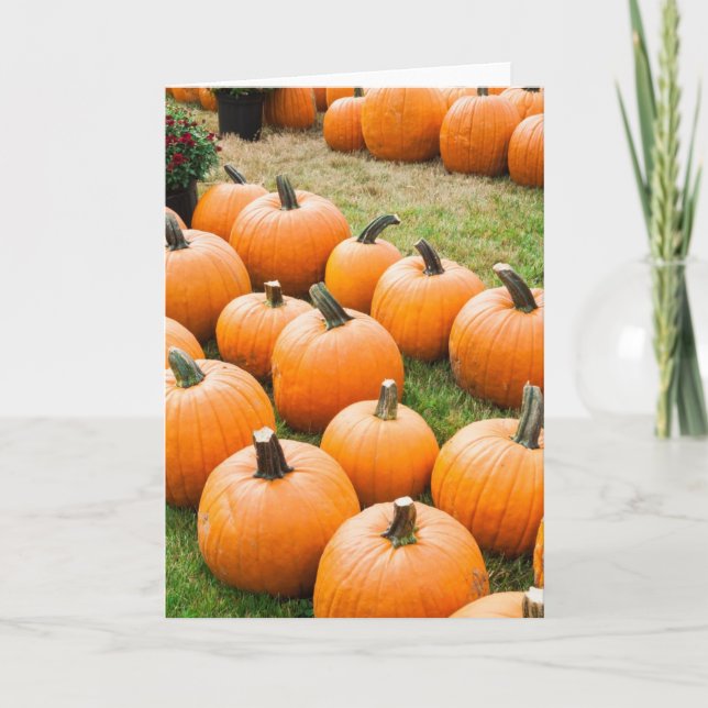 Carte Citrouilles à vendre sur un marché agricole (Devant)