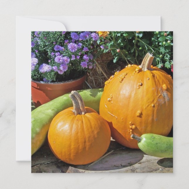 Carte Citrouilles et fleurs d'automne (Devant)