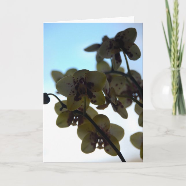Carte Clair de Fleur (Devant)